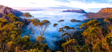 BMP101 Morning Mist, Mt Solitary & Three Sisters, Jamison Valley